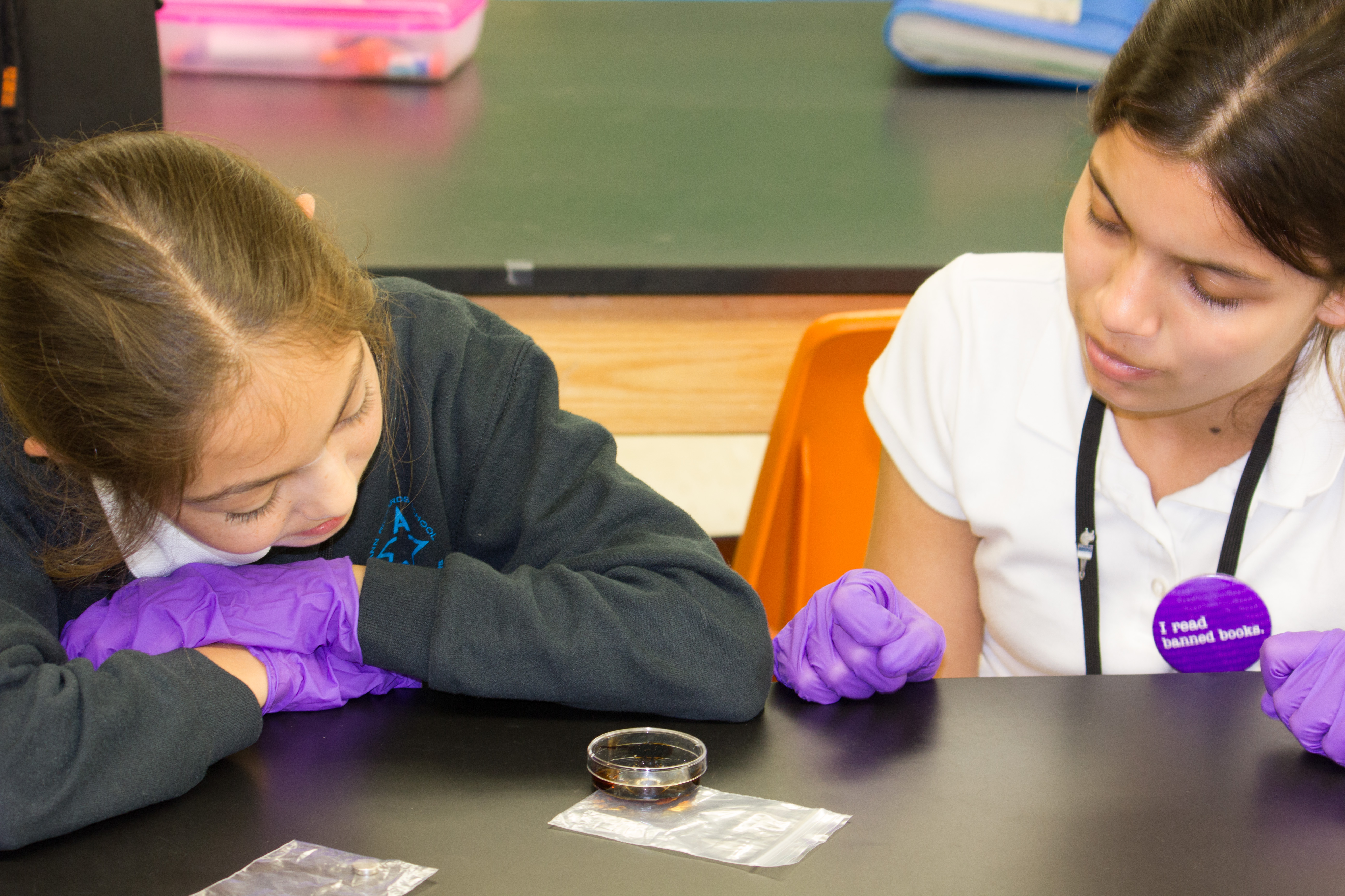 Two female middle school students are sitting at a table contemplating a science experiment they are conducting. The science experiment sits in a petri dish in front of them and they are wearing purple latex gloves.