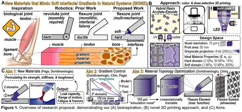 Graphic from Page Seed Proposal