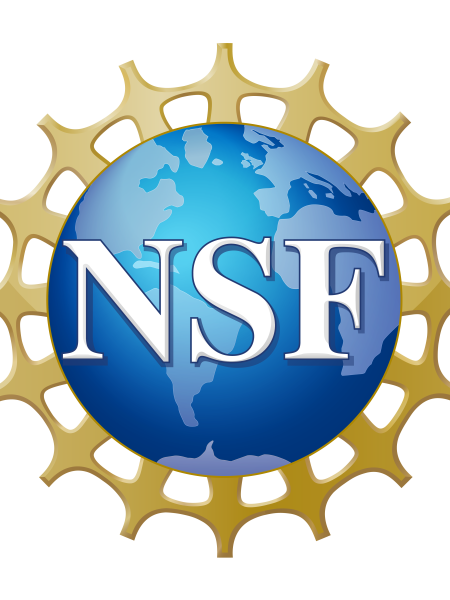 NSF LOGO