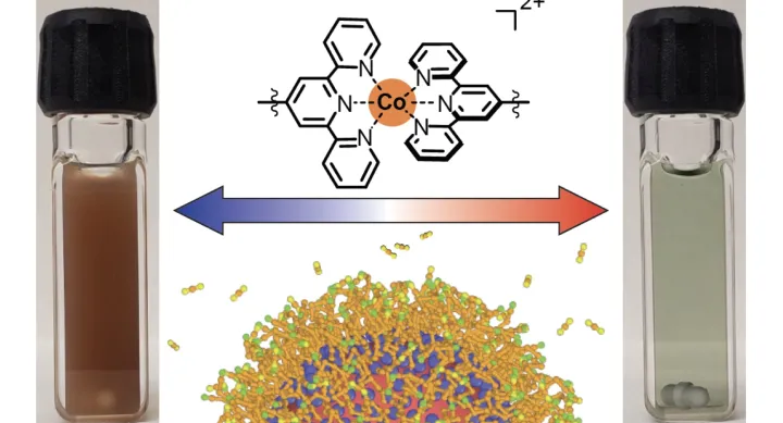 This graphic shows the materialin its gelled state (left) and its non-gelled state (right). When the materialis heated (right), the chemical bonds between the nanocrystals break and the gel breaks down. When the material is cooled (left), chemical bonds form between the nanocrystals and they organize themselves into a network (the gel).Molecular bonding(top)that controls gelation as a function of temperature is understood using supercomputer simulations (bottom). Credit: Kang, Valenzuela, et al./UT Austin