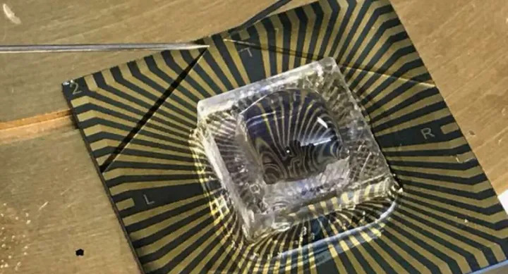 constructed the COVID-19 and flu sensor